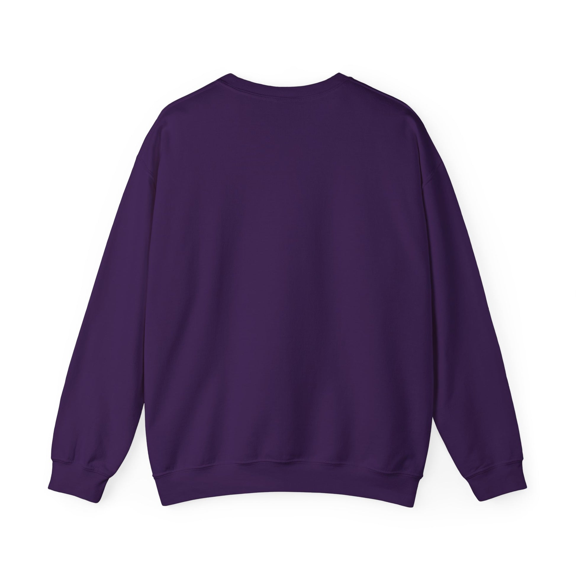Retro Vibes Unisex Crewneck Sweatshirt - 604-410 Santa Cruz CA