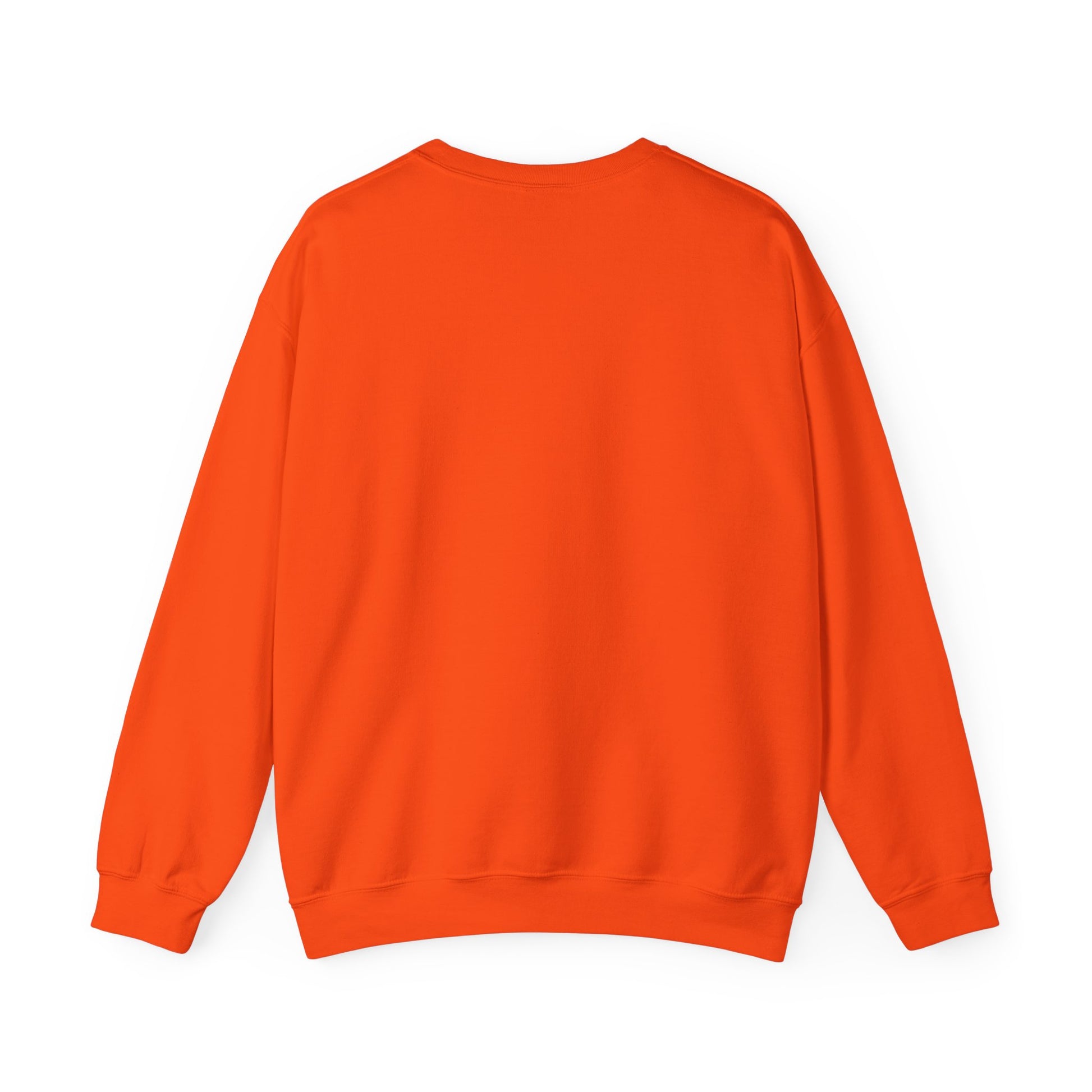 Retro Vibes Unisex Crewneck Sweatshirt - 604-410 Santa Cruz CA